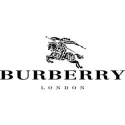 burberry log in